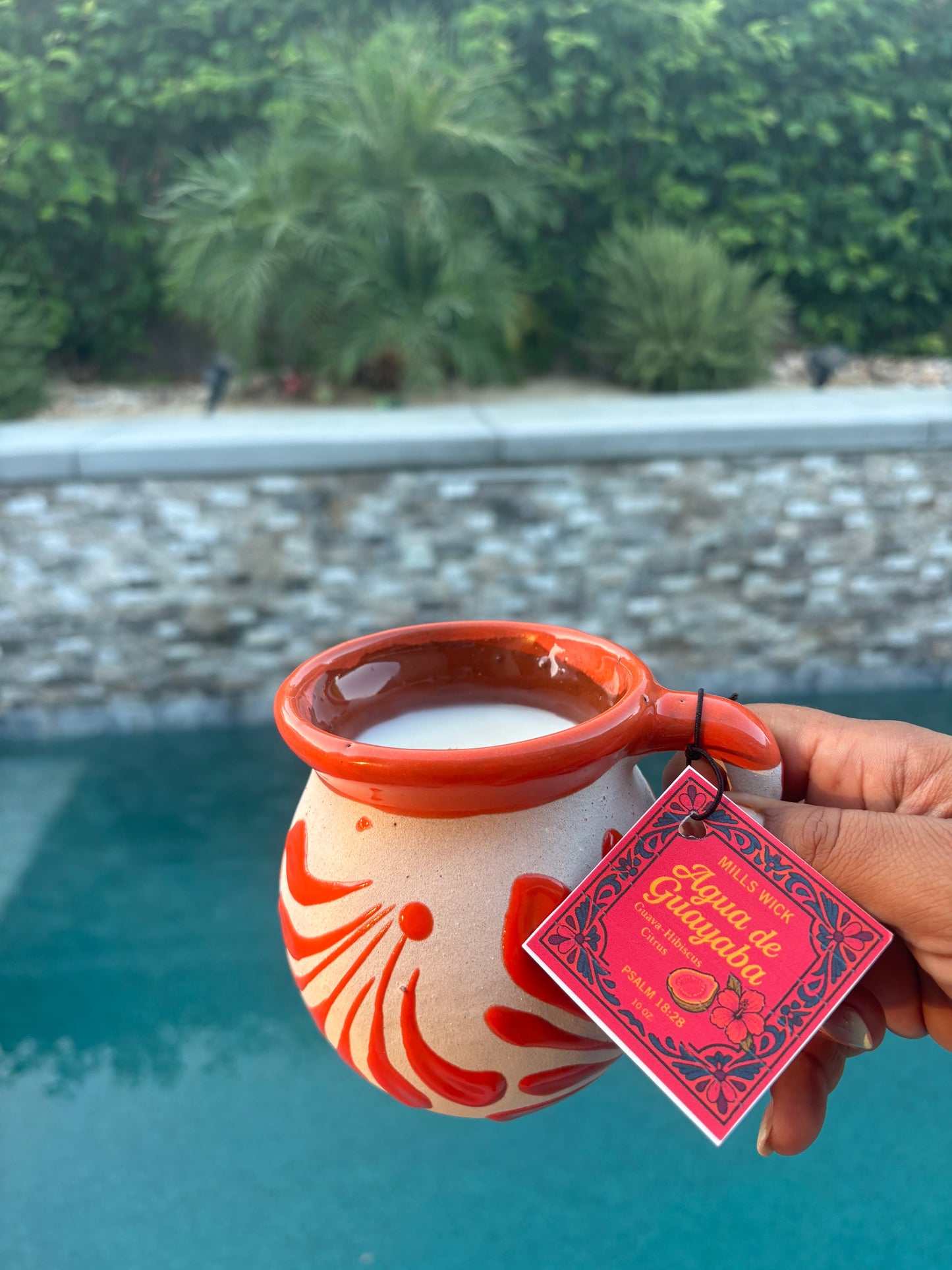 Agua de Guayaba – Soy Candle