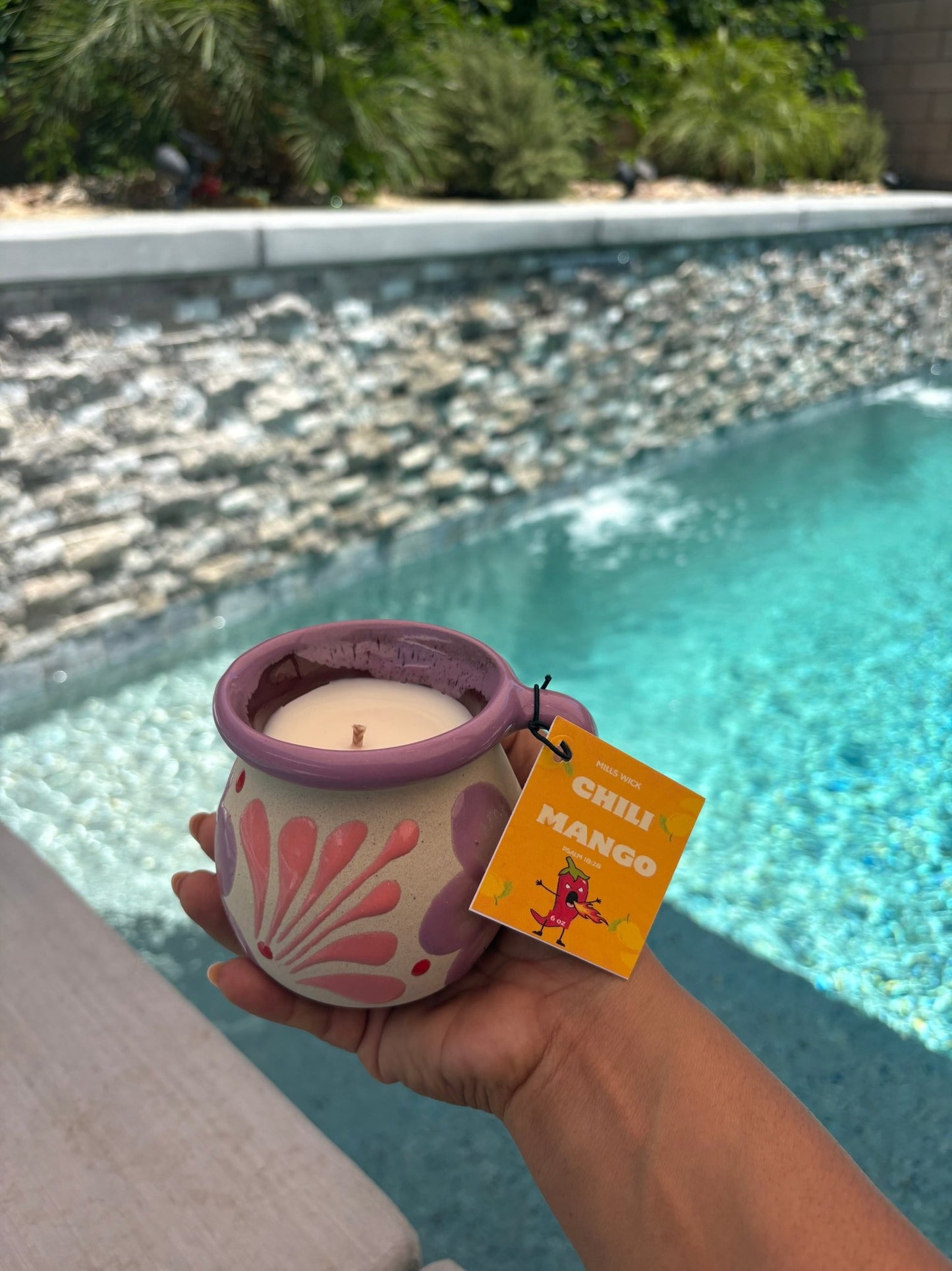 Chili mango-Taza Soy Candle – 6 ozMillswicksoycandlesMills WicklatinaownedChili mango-Taza Soy Candle – 6 ozscentedsoycandles