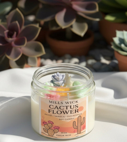 Cactus flower 🌵Millswickscented candlessoycandlesMills WicklatinaownedCactus flower 🌵scentedsoycandles
